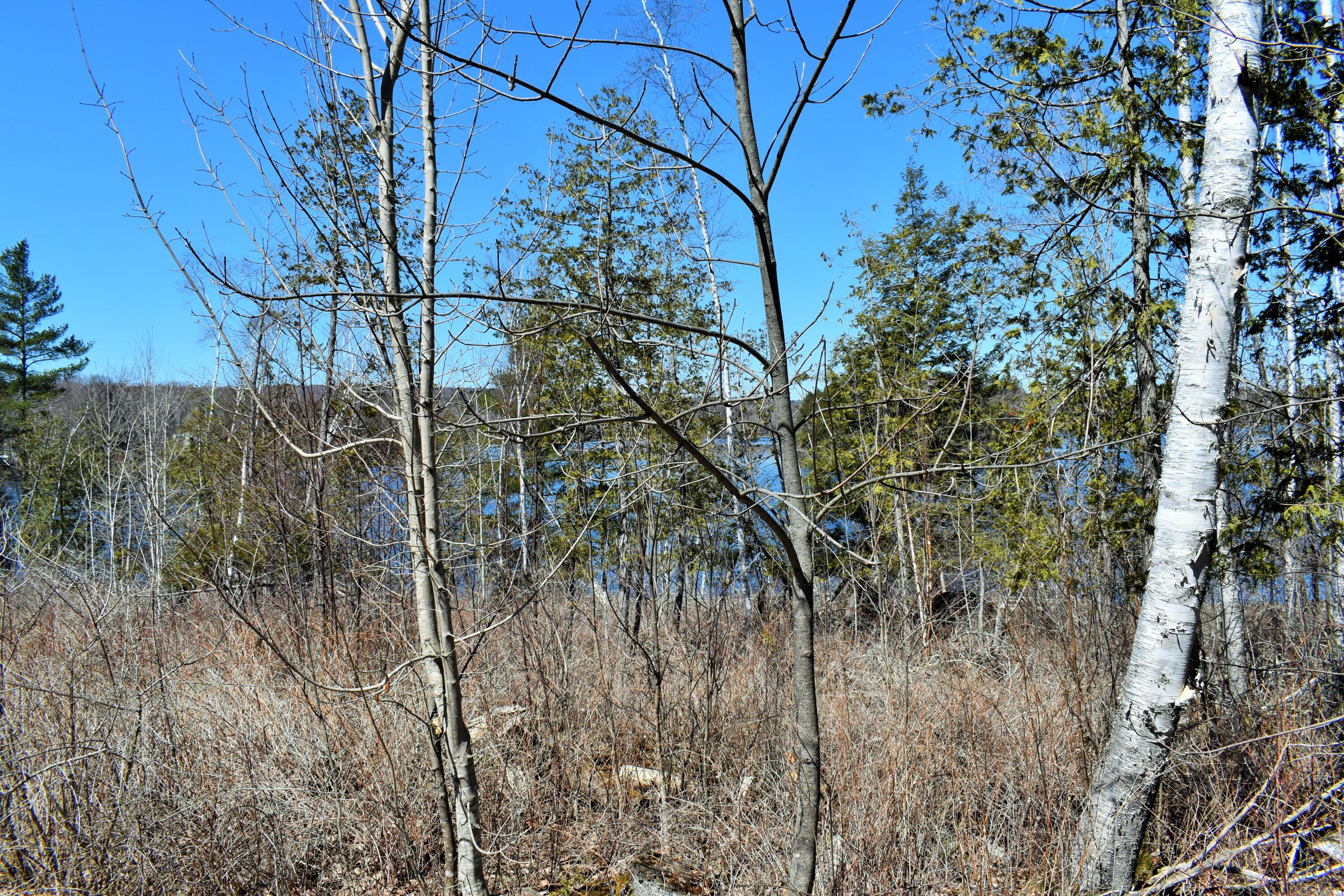 90 Cotta Lane St. Albans, ME 04971 - Photo 20 of 24 DSC_0466
