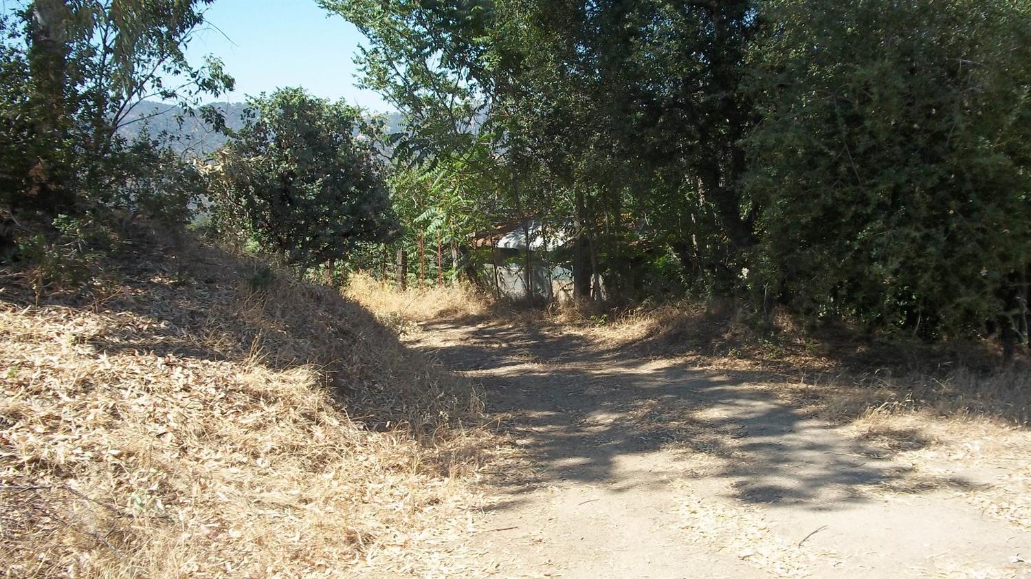 36836 Hopewell Road Squaw Valley, CA 93675 - Photo 14 of 18 Gallery Image 14