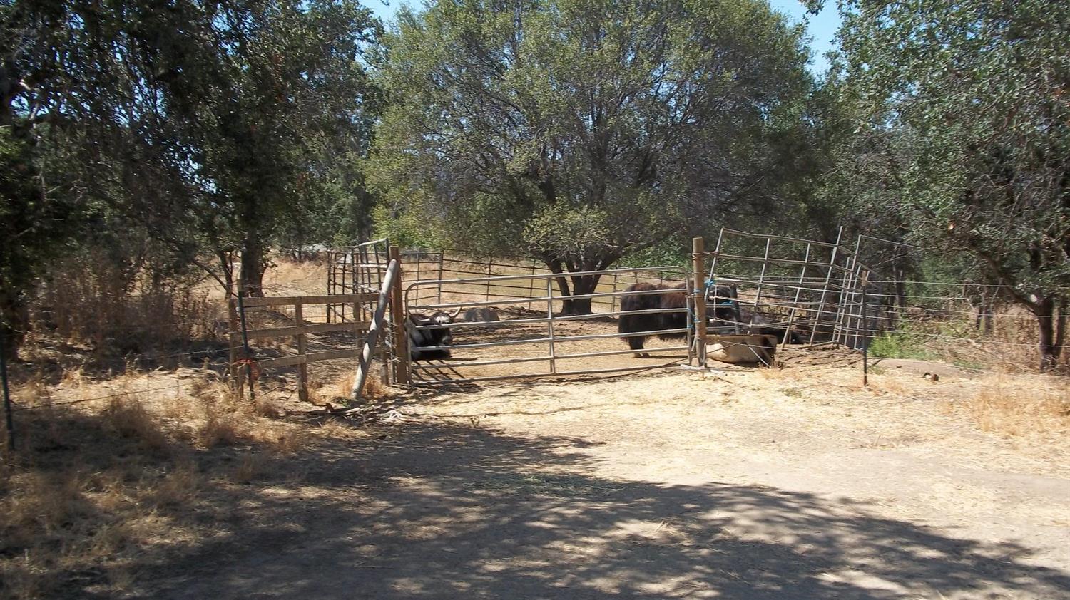 36836 Hopewell Road Squaw Valley, CA 93675 - Photo 15 of 18 Gallery Image 15