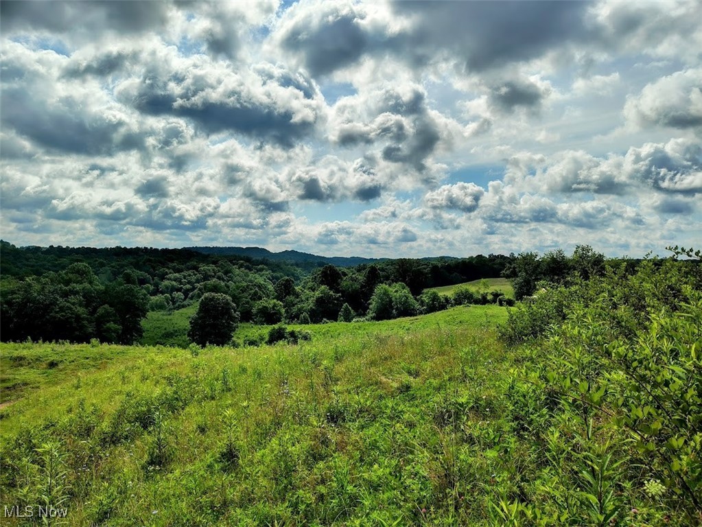 226 Banner Hill Road Spencer, WV 25276 - Photo 33 of 35