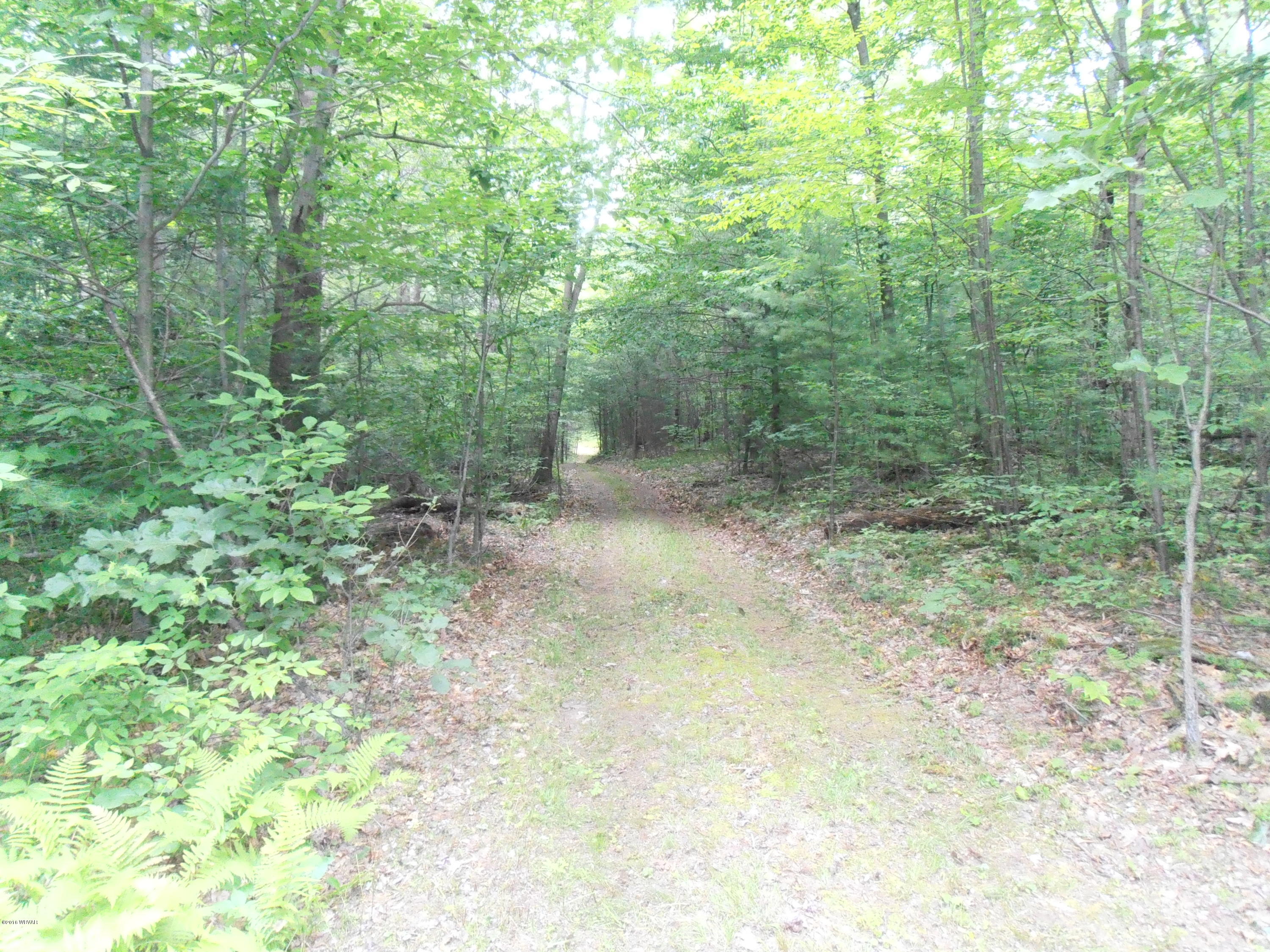 504 Furnace Run Road Jersey Shore, PA 17740 - Photo 7 of 36 P7200023