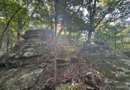 1483 Cedar Ridge Drive Hermann, MO 65041 - Photo 55 of 77