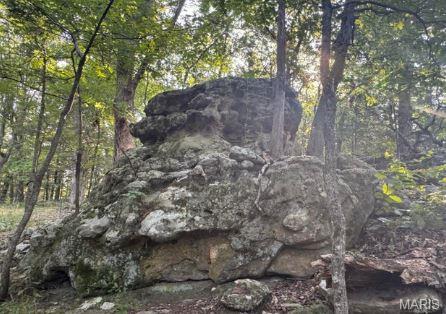 1483 Cedar Ridge Drive Hermann, MO 65041 - Photo 56 of 77