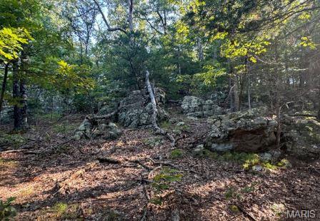 1483 Cedar Ridge Drive Hermann, MO 65041 - Photo 58 of 77