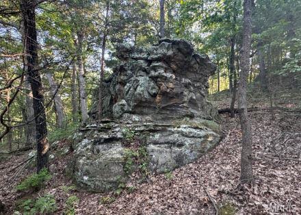 1483 Cedar Ridge Drive Hermann, MO 65041 - Photo 59 of 77