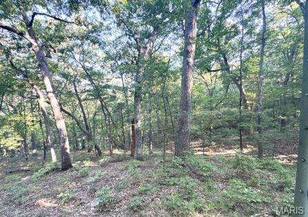 1483 Cedar Ridge Drive Hermann, MO 65041 - Photo 61 of 77