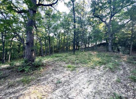 1483 Cedar Ridge Drive Hermann, MO 65041 - Photo 66 of 77