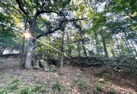 1483 Cedar Ridge Drive Hermann, MO 65041 - Photo 67 of 77