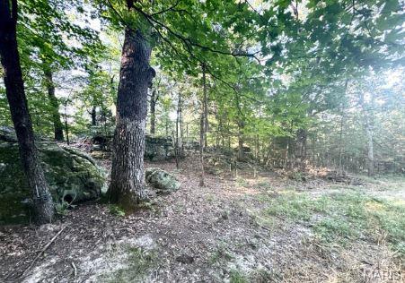 1483 Cedar Ridge Drive Hermann, MO 65041 - Photo 68 of 77