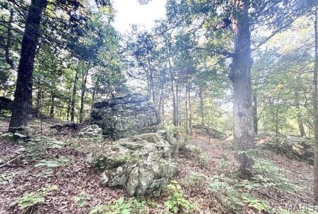 1483 Cedar Ridge Drive Hermann, MO 65041 - Photo 69 of 77