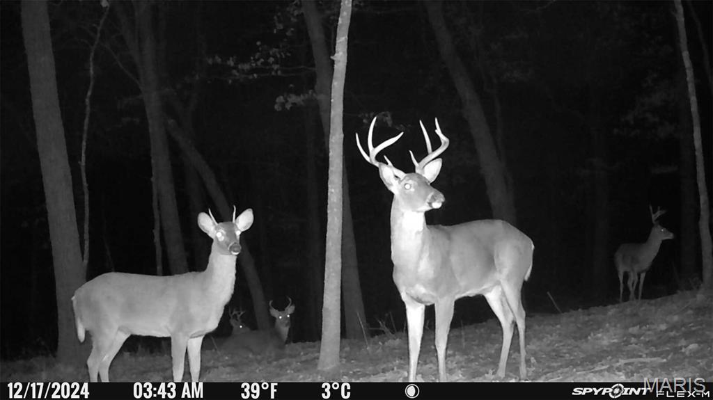 1483 Cedar Ridge Drive Hermann, MO 65041 - Photo 72 of 77