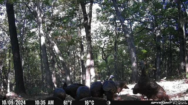 $699,900 | 1483 Cedar Ridge Drive, Hermann, MO 65041