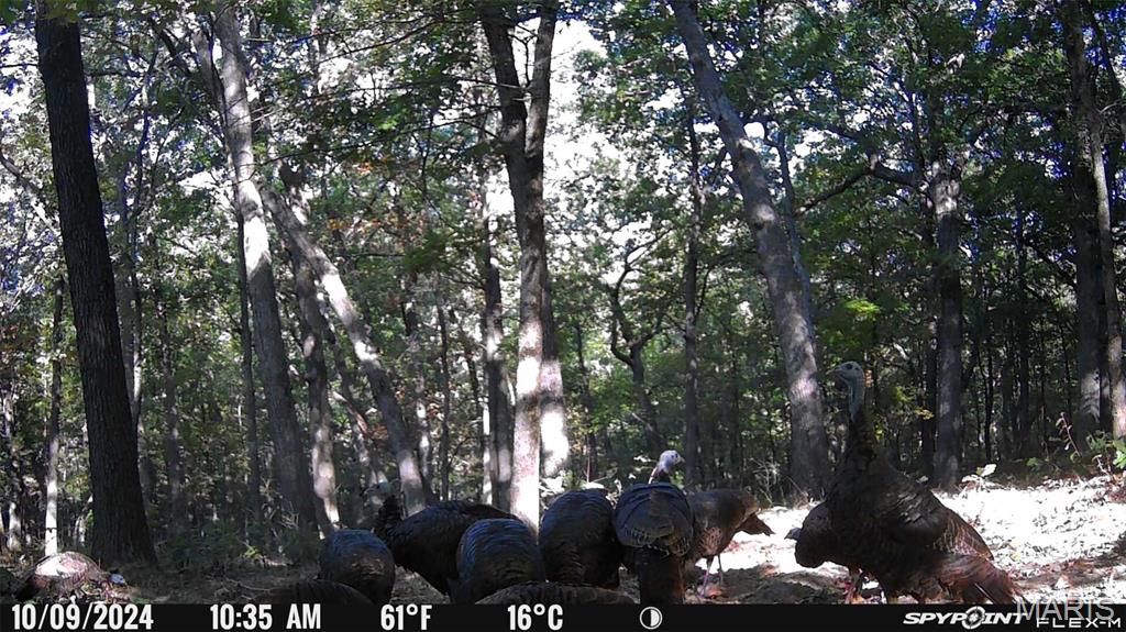 1483 Cedar Ridge Drive Hermann, MO 65041 - Photo 73 of 77