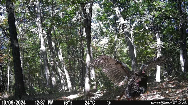 $699,900 | 1483 Cedar Ridge Drive, Hermann, MO 65041