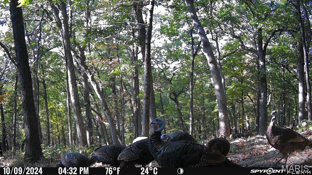 1483 Cedar Ridge Drive Hermann, MO 65041 - Photo 75 of 77