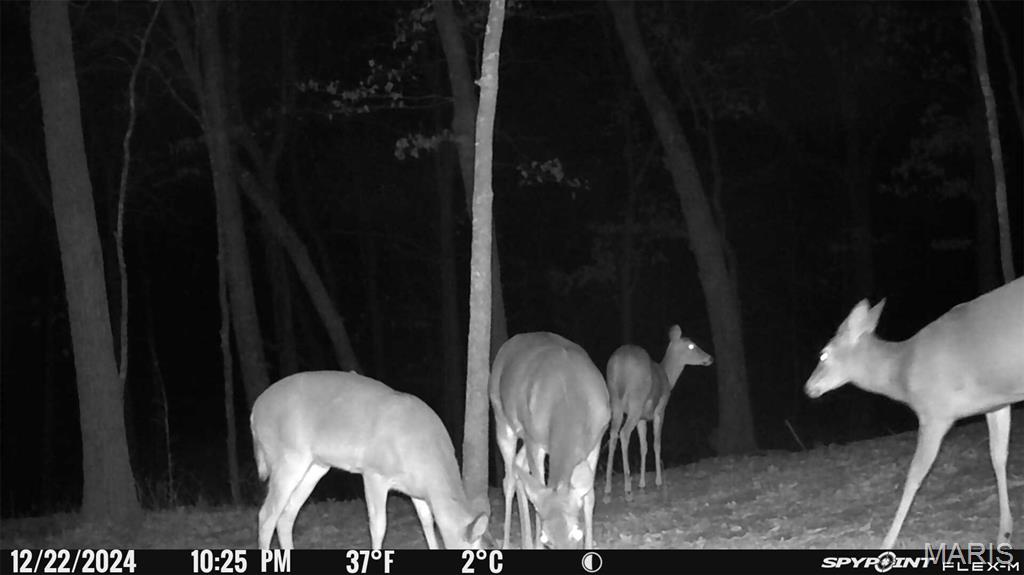 1483 Cedar Ridge Drive Hermann, MO 65041 - Photo 76 of 77