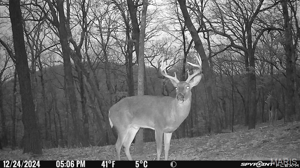 1483 Cedar Ridge Drive Hermann, MO 65041 - Photo 77 of 77