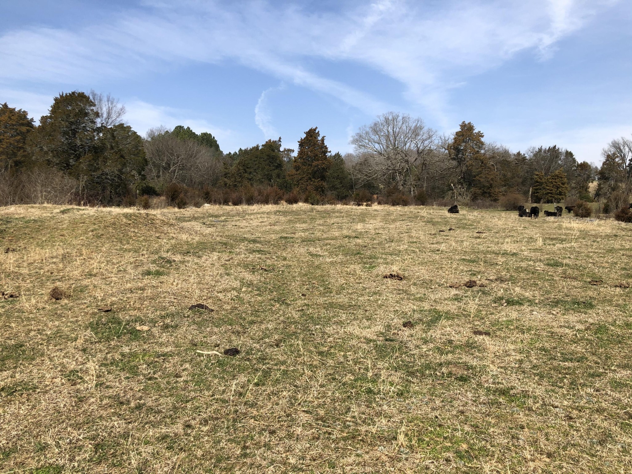 0 Scott Road Corryton, TN 37721 - Photo 1 of 5 Gallery Image 1