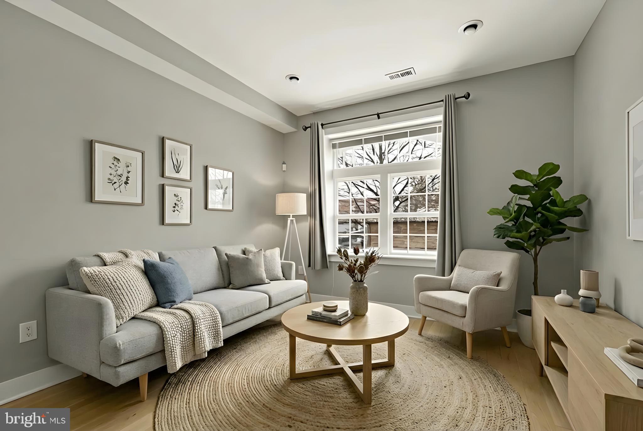 3529 14th Street Northwest, Unit 1 Washington, DC 20010 - Photo 3 of 14 a living room with furniture and a potted plant