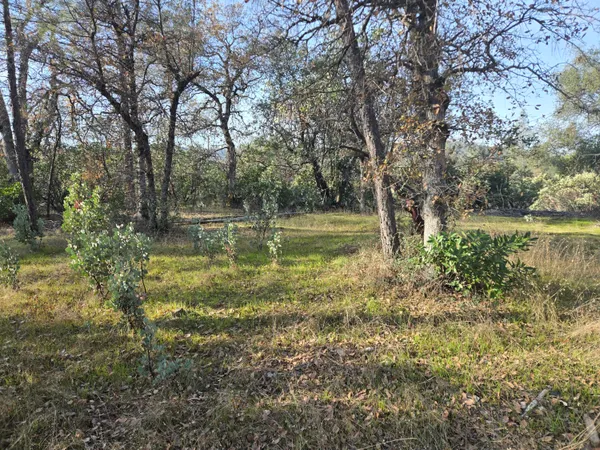 a view of a lake with houses in back
