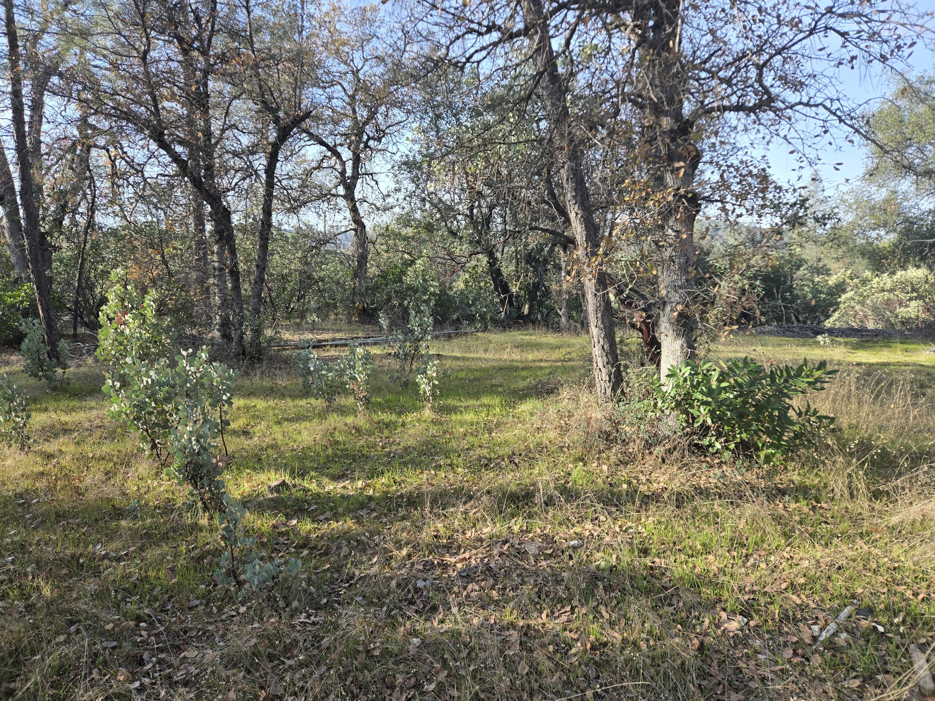 a view of a lake with houses in back
