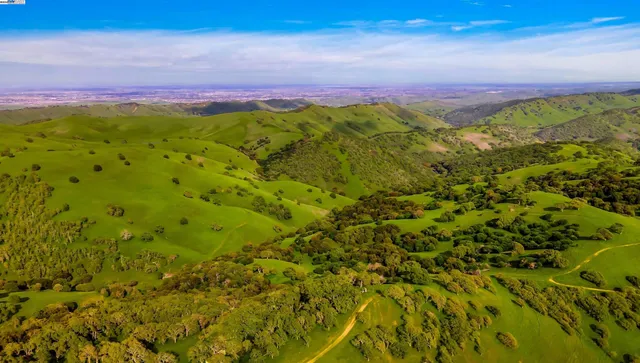a view of a big yard with a house in the background