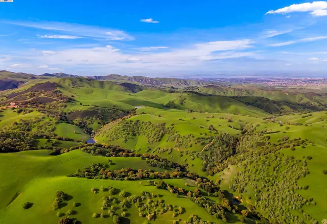 a view of a lush green hillside and an ocean