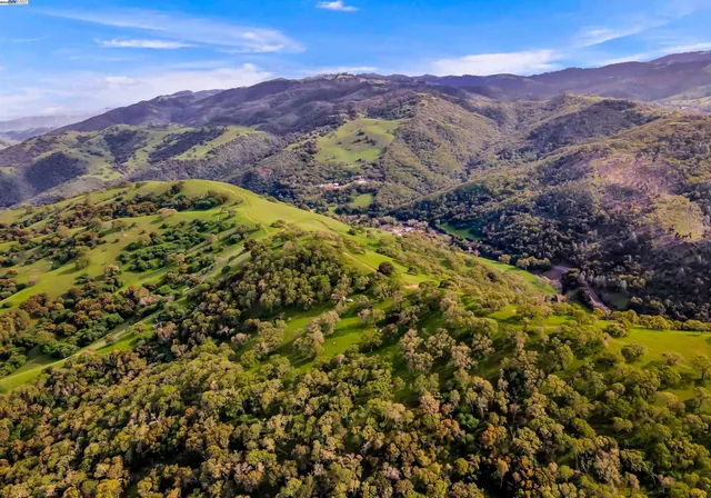 a view of a lush green hillside and a mountain
