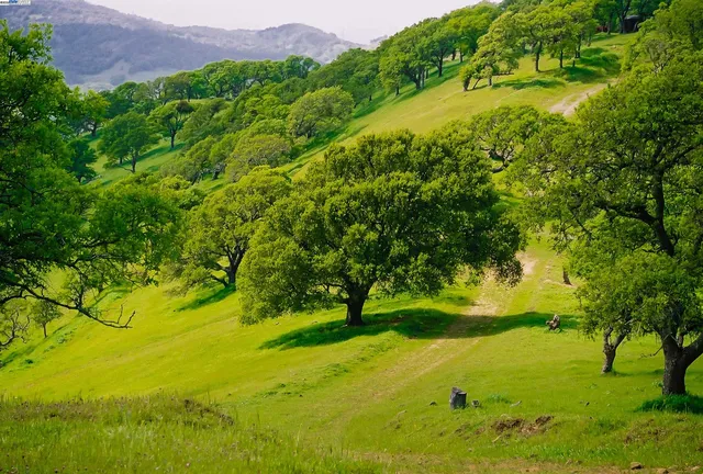 a view of an outdoor space and a yard