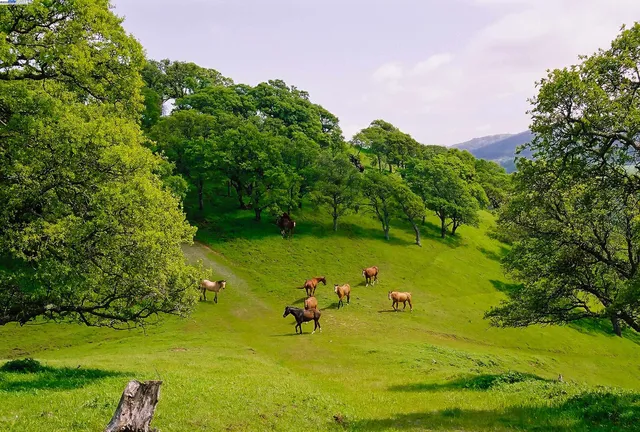 a view of a lake with a building in the background