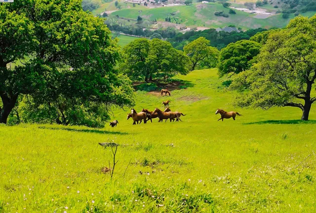 a view of an ocean and swimming pool