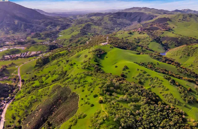 a view of a lush green hillside and a mountain