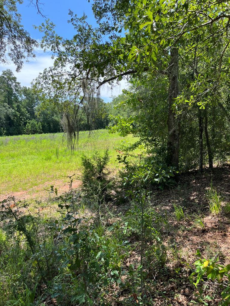 0 State Line Road Cottonwood, AL 36320 - Photo 7 of 12