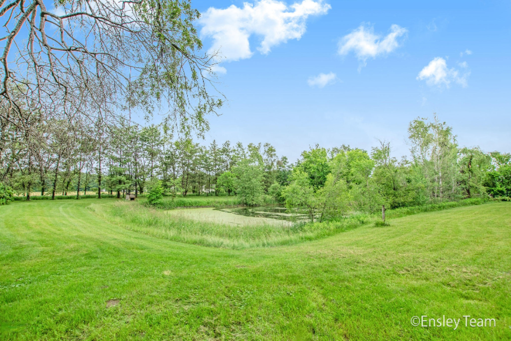 7825 North State Road Orleans, MI 48865 - Photo 11 of 27 DSC01802.jpg-2