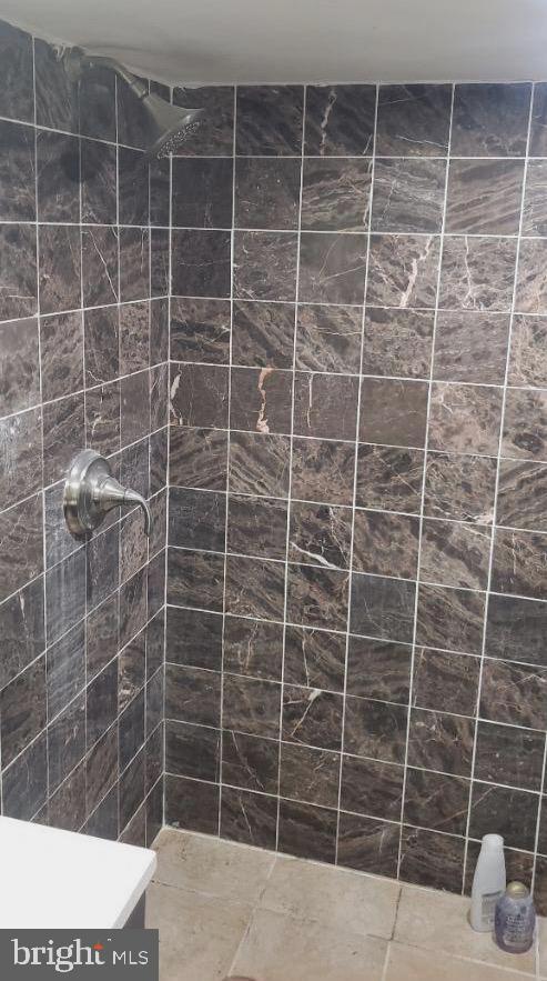 5263 Pennway Street Philadelphia, PA 19124 - Photo 15 of 18 Basement Shower