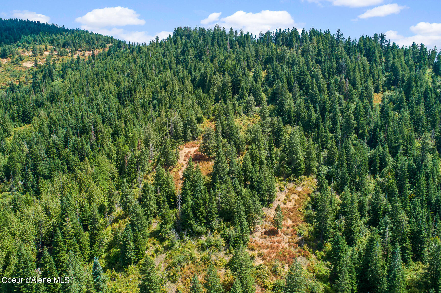 Nna East Rosewood Road St. Maries, ID 83861 - Photo 12 of 17 Aerial_RosewoodDrLot-8