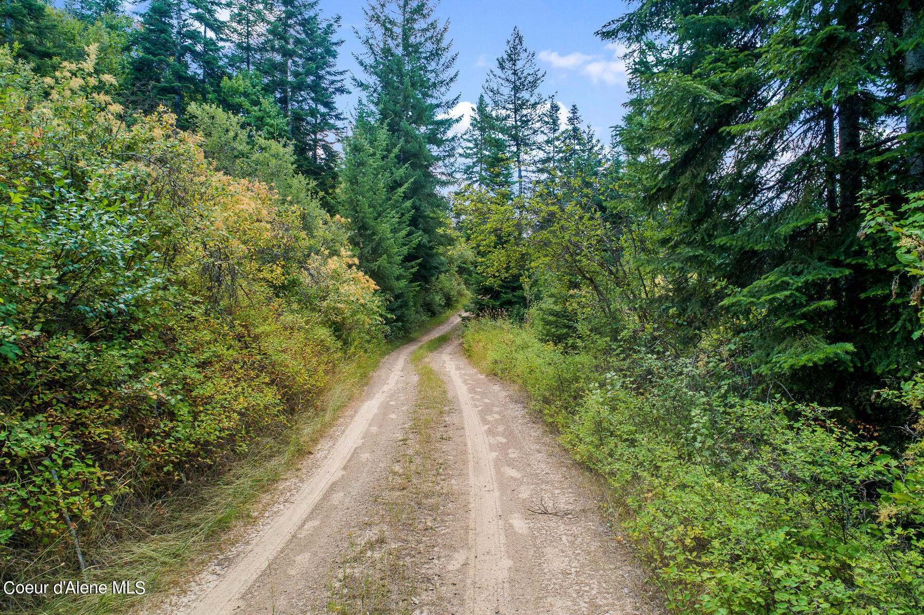 Nna East Rosewood Road St. Maries, ID 83861 - Photo 13 of 17 Aerial_RosewoodDrLot-10
