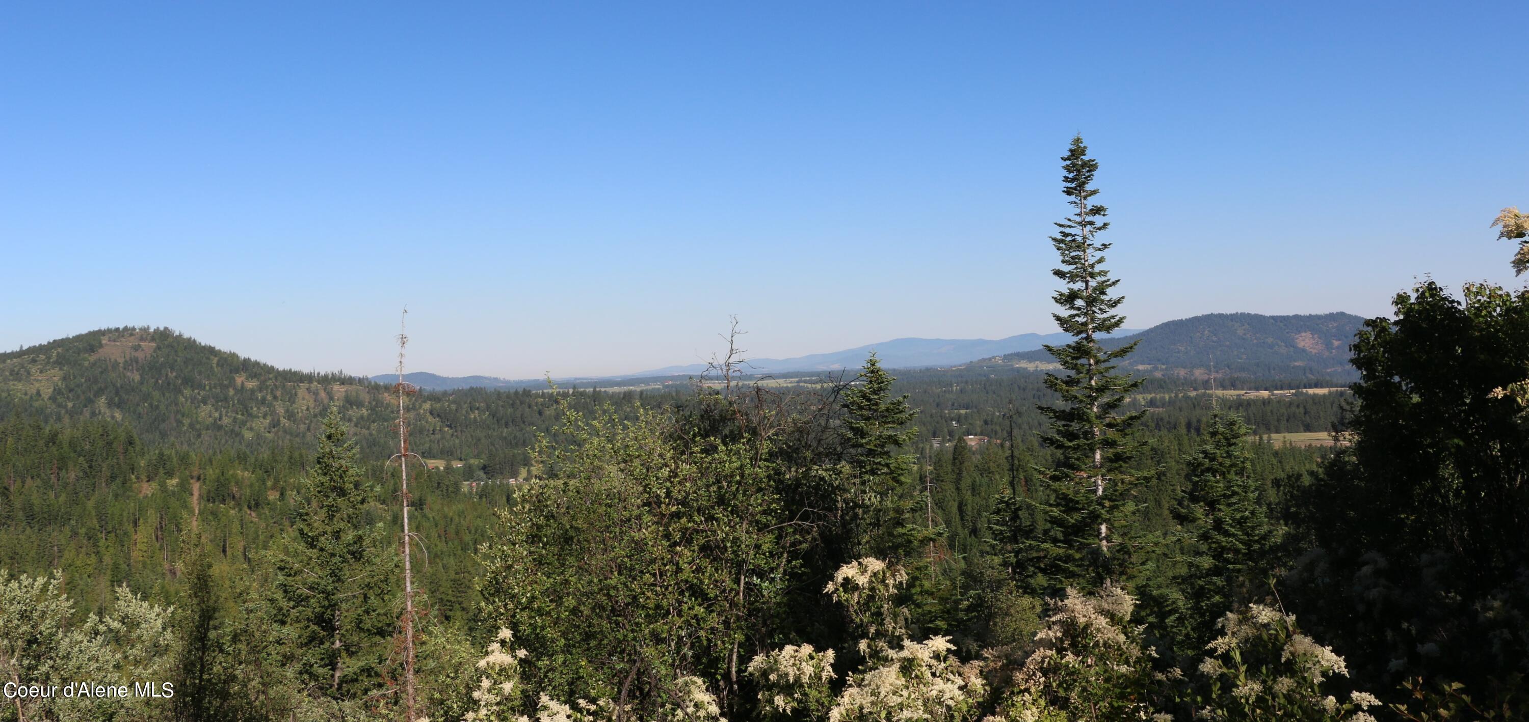 Nna East Rosewood Road St. Maries, ID 83861 - Photo 14 of 17 Great View of Idaho Land (1)
