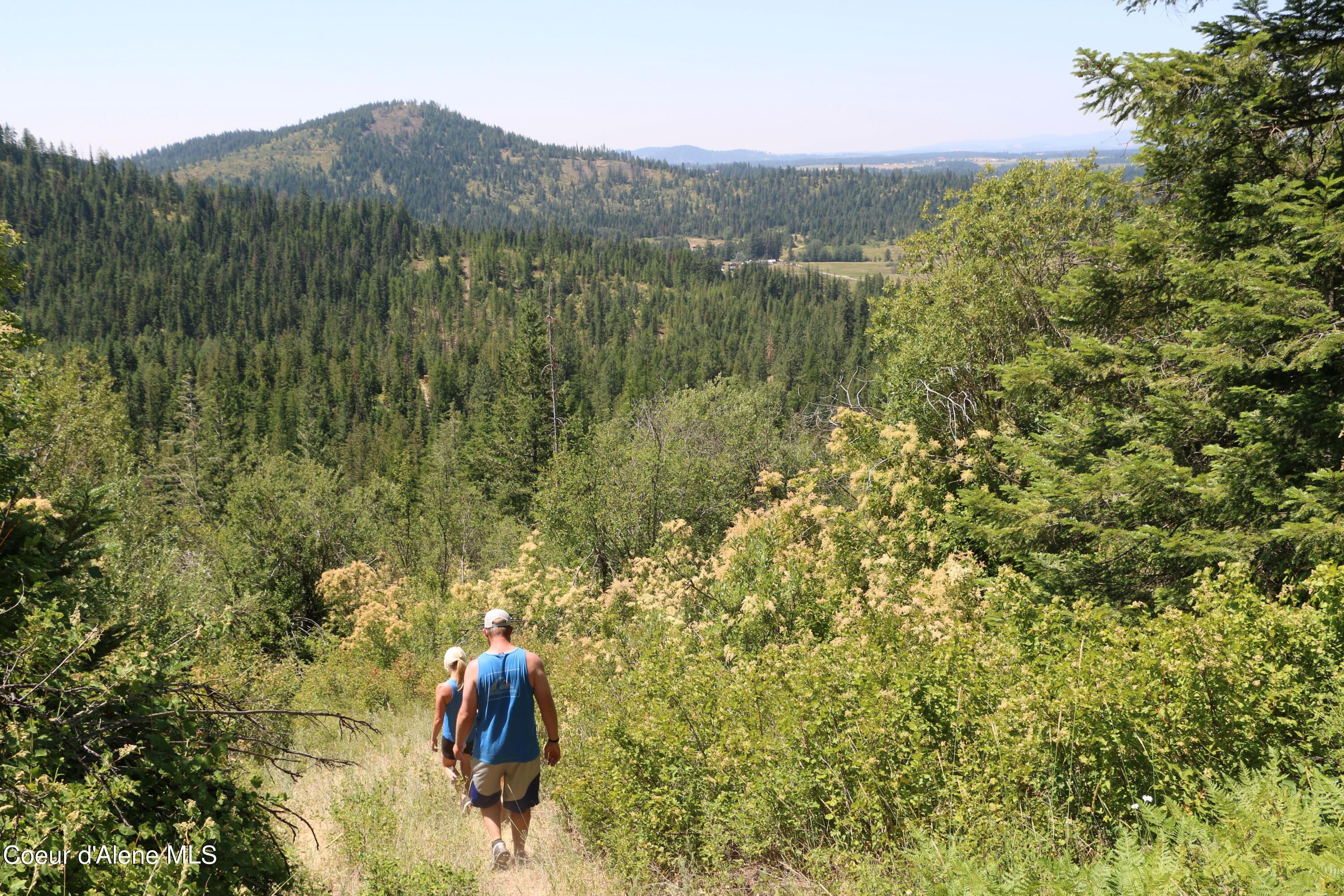 Nna East Rosewood Road St. Maries, ID 83861 - Photo 16 of 17 Property in Idaho