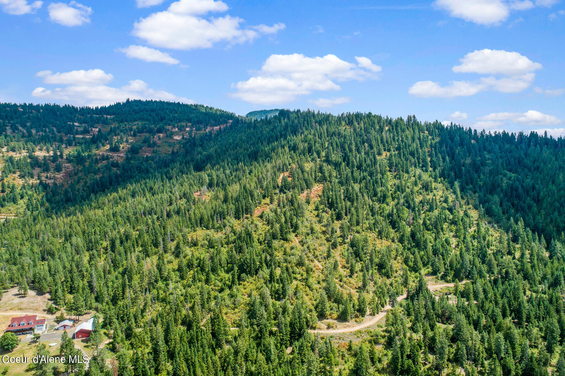 Nna East Rosewood Road St. Maries, ID 83861 - Photo 4 of 17 Aerial_RosewoodDrLot-1