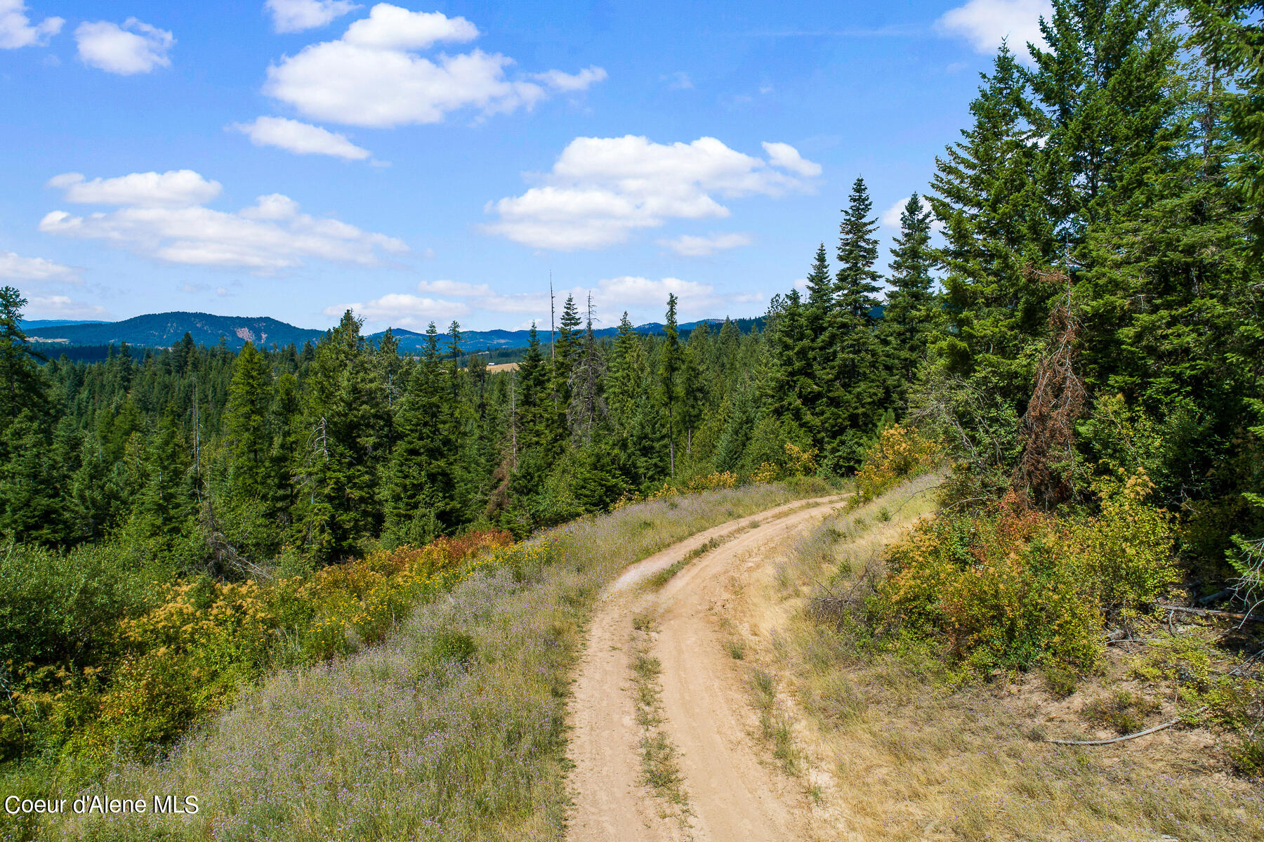 Nna East Rosewood Road St. Maries, ID 83861 - Photo 5 of 17 Aerial_RosewoodDrLot-11