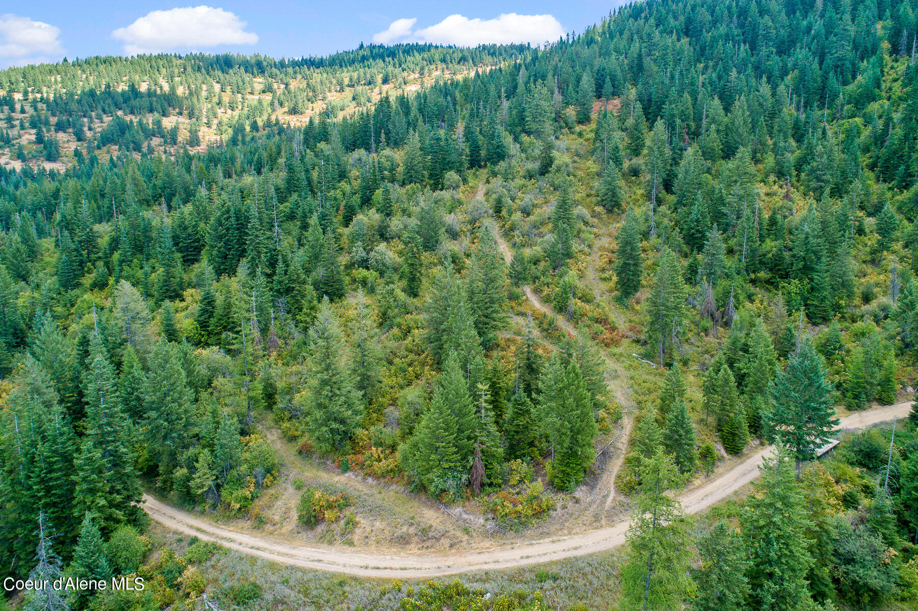 Nna East Rosewood Road St. Maries, ID 83861 - Photo 6 of 17 Aerial_RosewoodDrLot-9