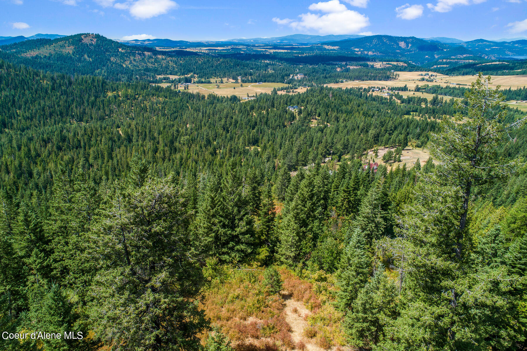 Nna East Rosewood Road St. Maries, ID 83861 - Photo 8 of 17 Aerial_RosewoodDrLot-3