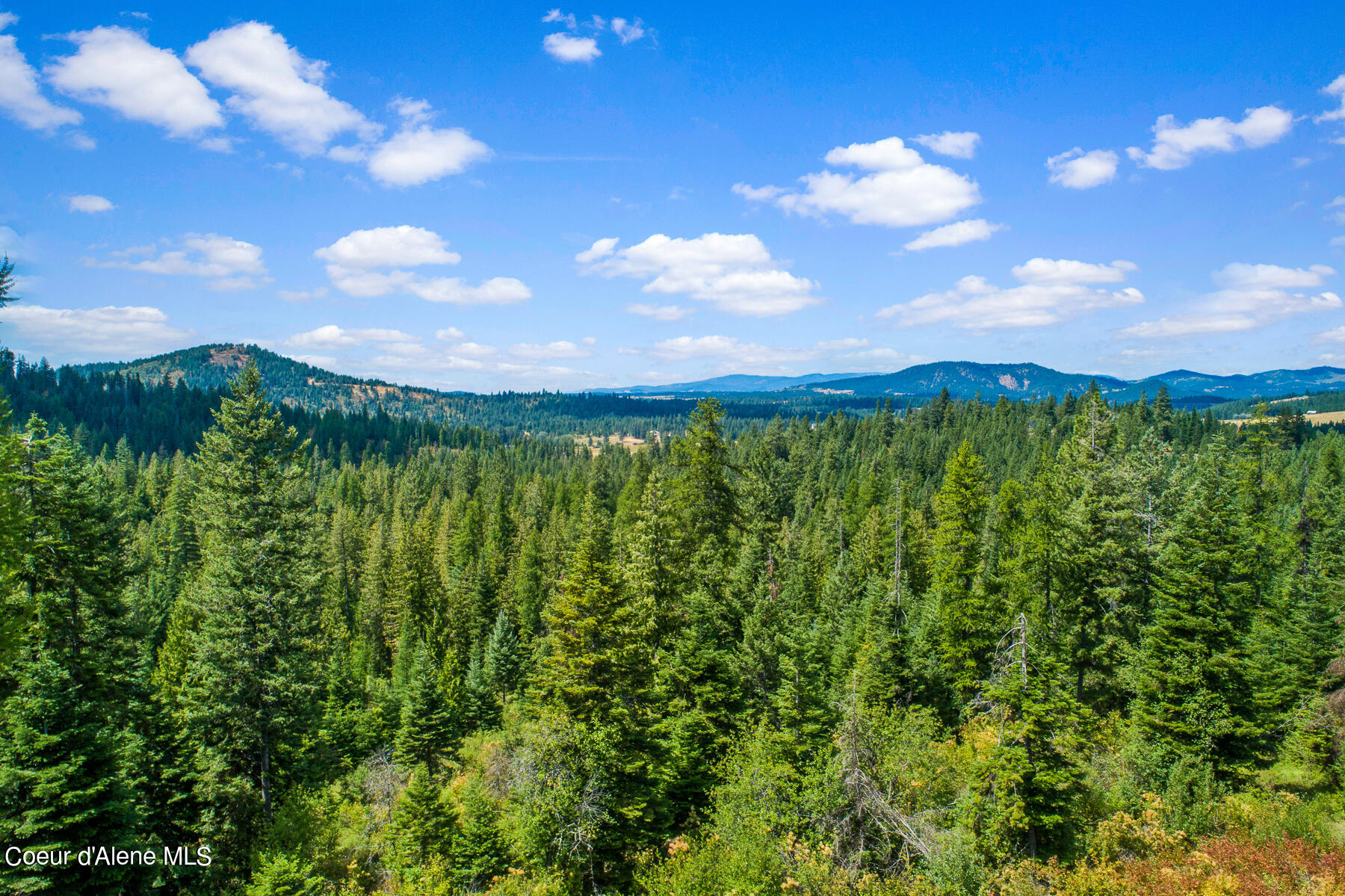 Nna East Rosewood Road St. Maries, ID 83861 - Photo 9 of 17 Aerial_RosewoodDrLot-4