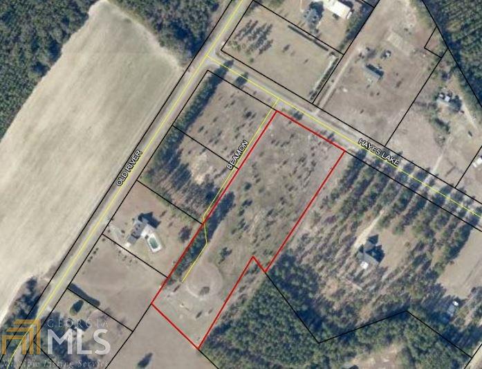 0 Hayes Lake Road Brooklet, GA 30415 - Photo 1 of 1