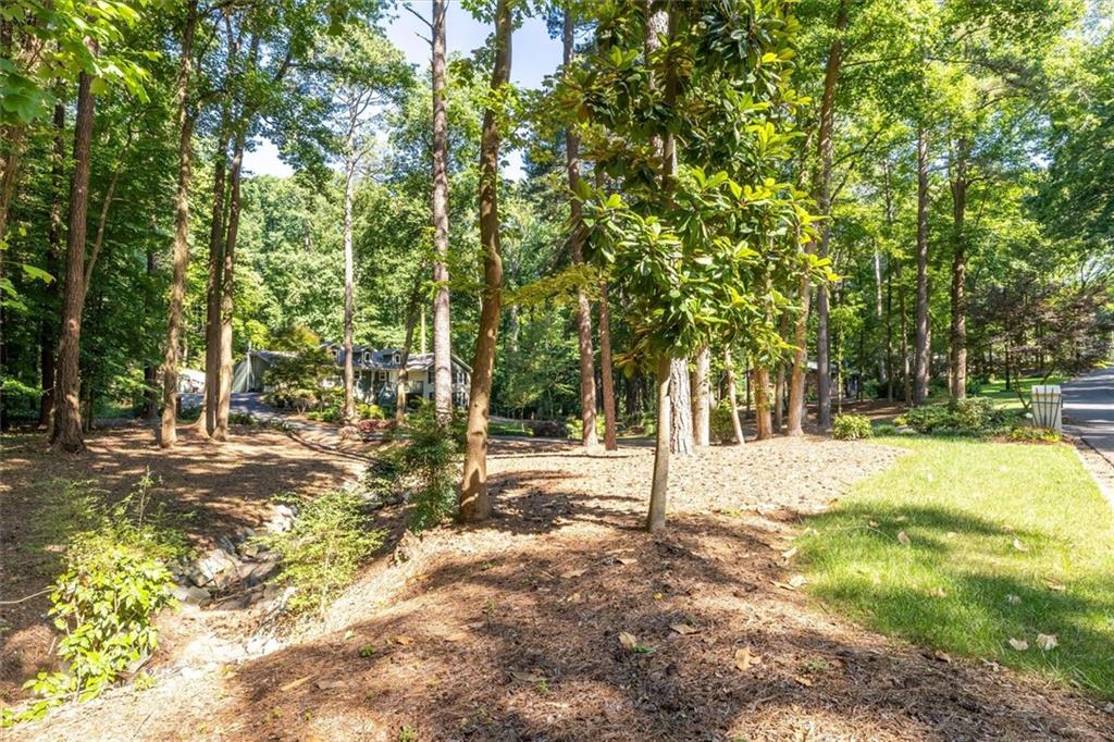 2210 Rosser Place Smoke Rise, GA 30087 - Photo 58 of 81