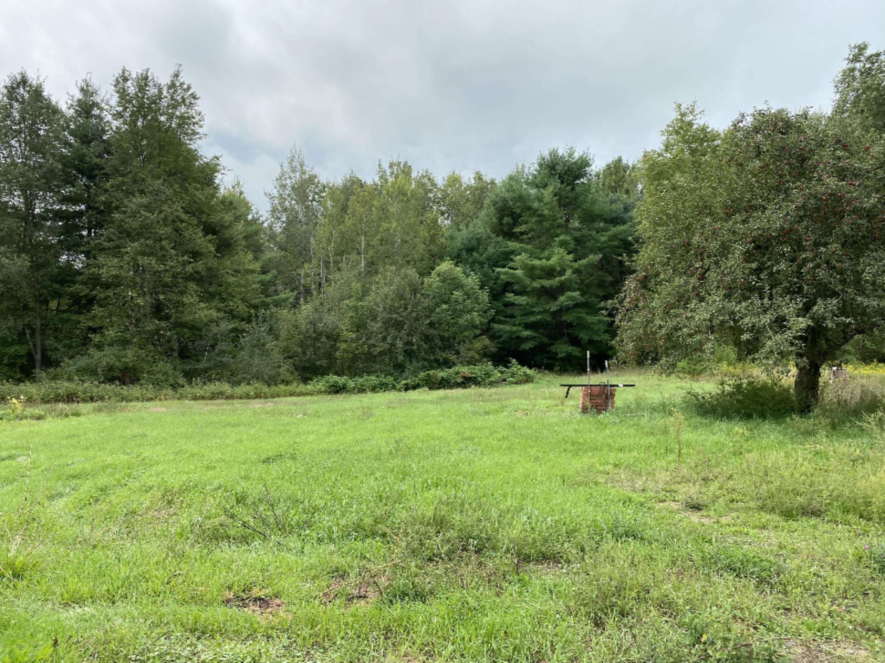 3255 11 Mile Road Remus, MI 49340 - Photo 3 of 44 E7A25A91-2728-457B-A7E6-3792DC8F1181