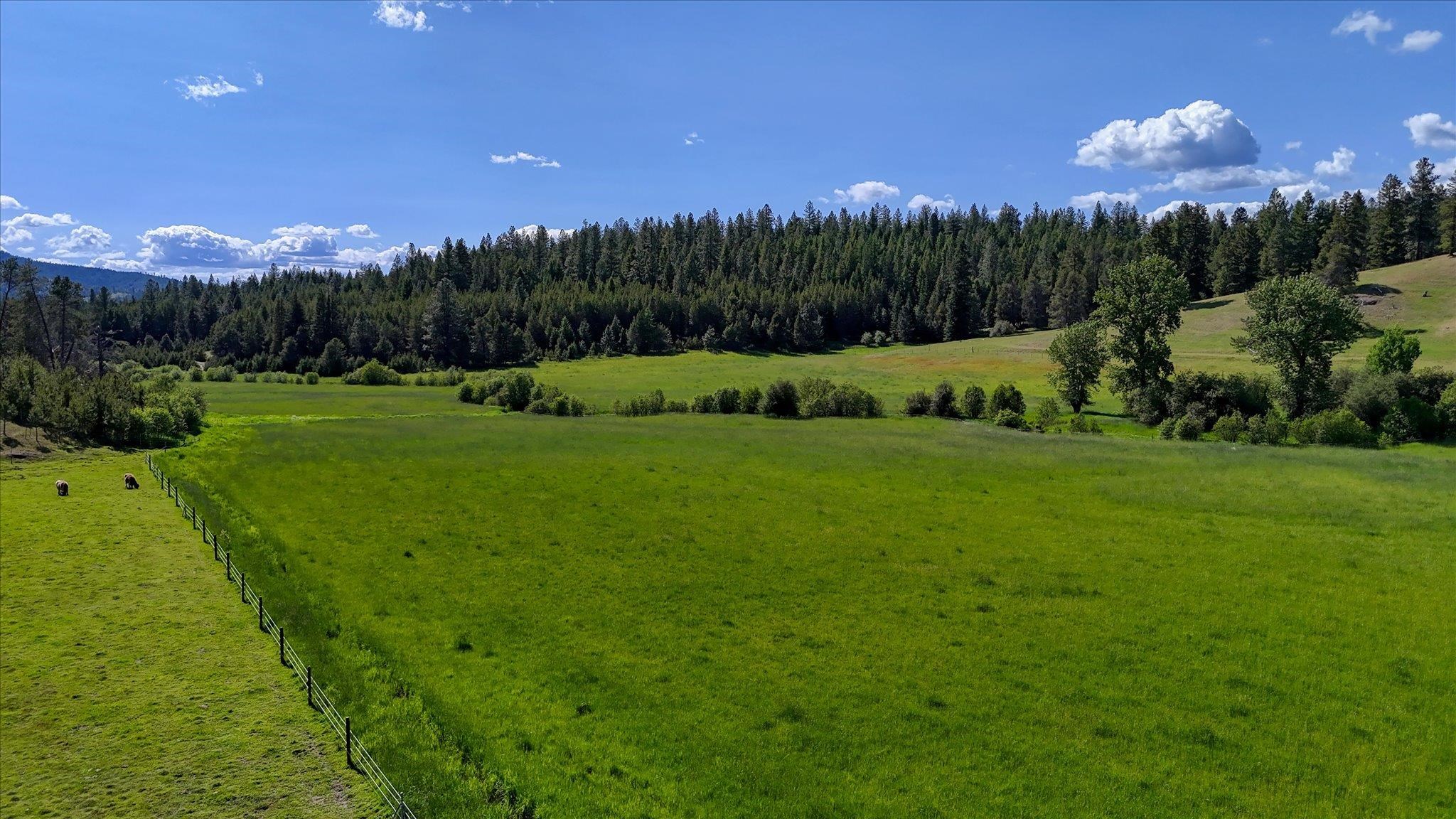 27120 East Blanchard Road Newport, WA 99156 - Photo 36 of 50