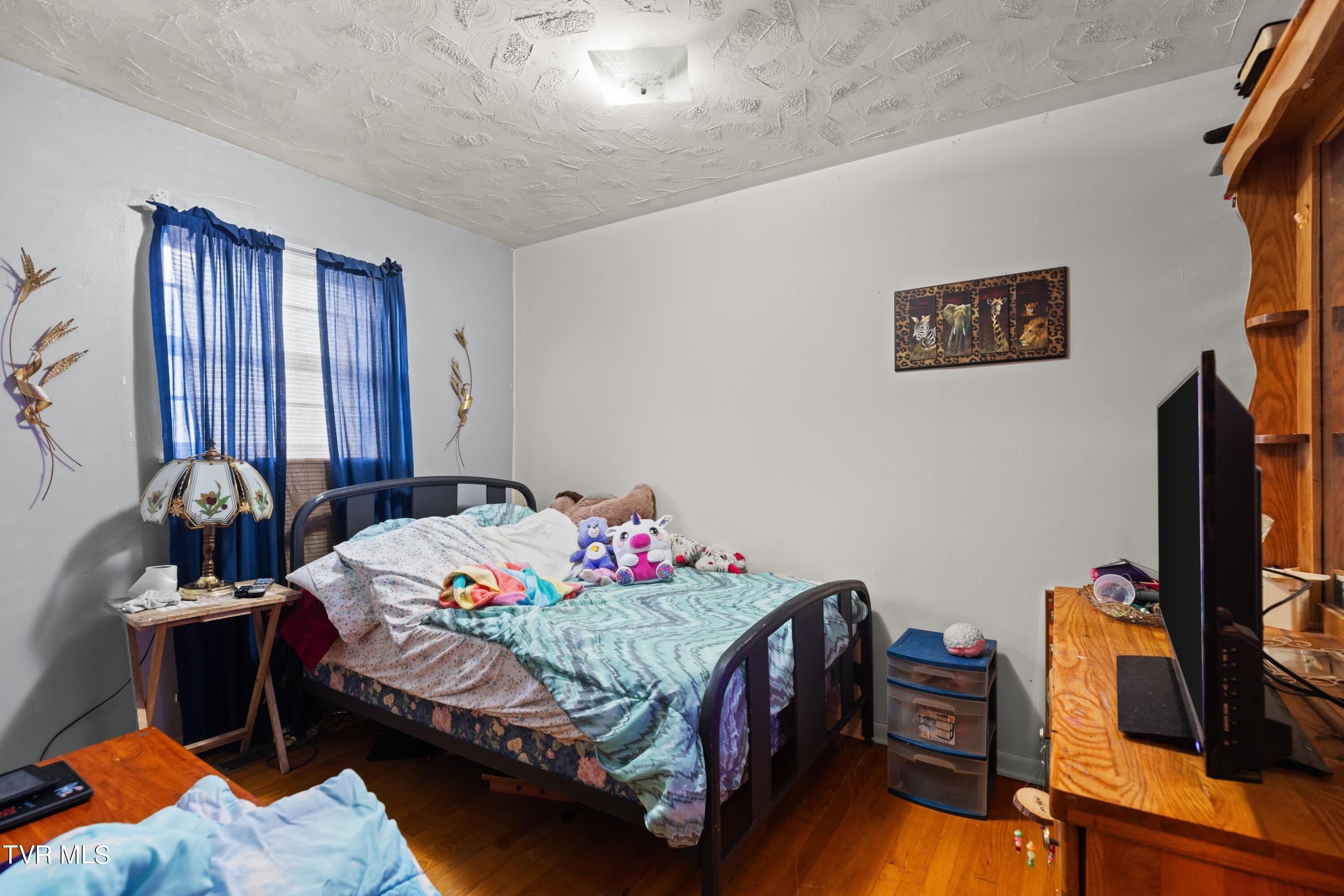 212 Trout Road Bean Station, TN 37708 - Photo 13 of 17 IMG_3503.jpg-SMALL