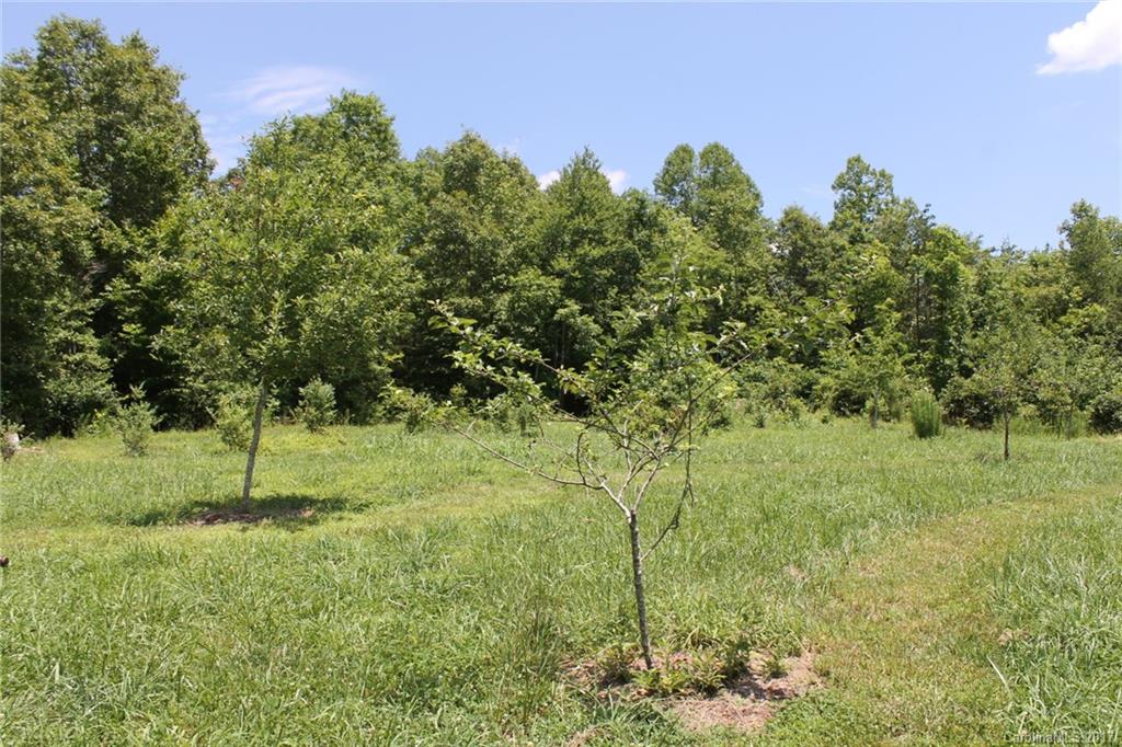 1177 Myers Mill Road Olin, NC 28660 - Photo 14 of 24 Gallery Image 14